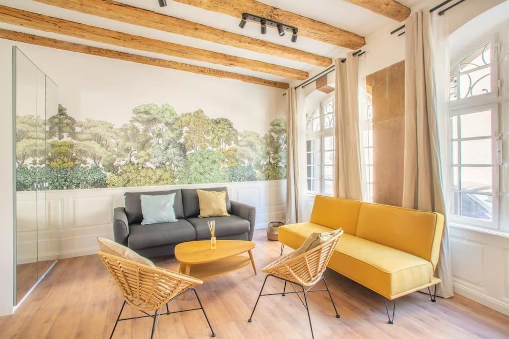 Apartmán La Halte Strasbourgeoise - Superbe Appt Pres De La Petite France Exteriér fotografie